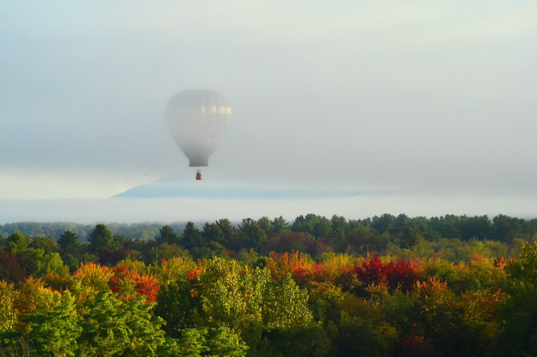 Friday morning flight 2019 Adirondack Balloon Festival